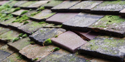 Chapel Hill roof repair costs